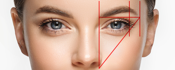 顔の骨格(黄金比率 × デザイン)