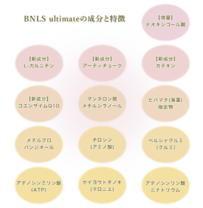 BNLSアルティメット